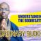 Understanding the Bodhisattvas